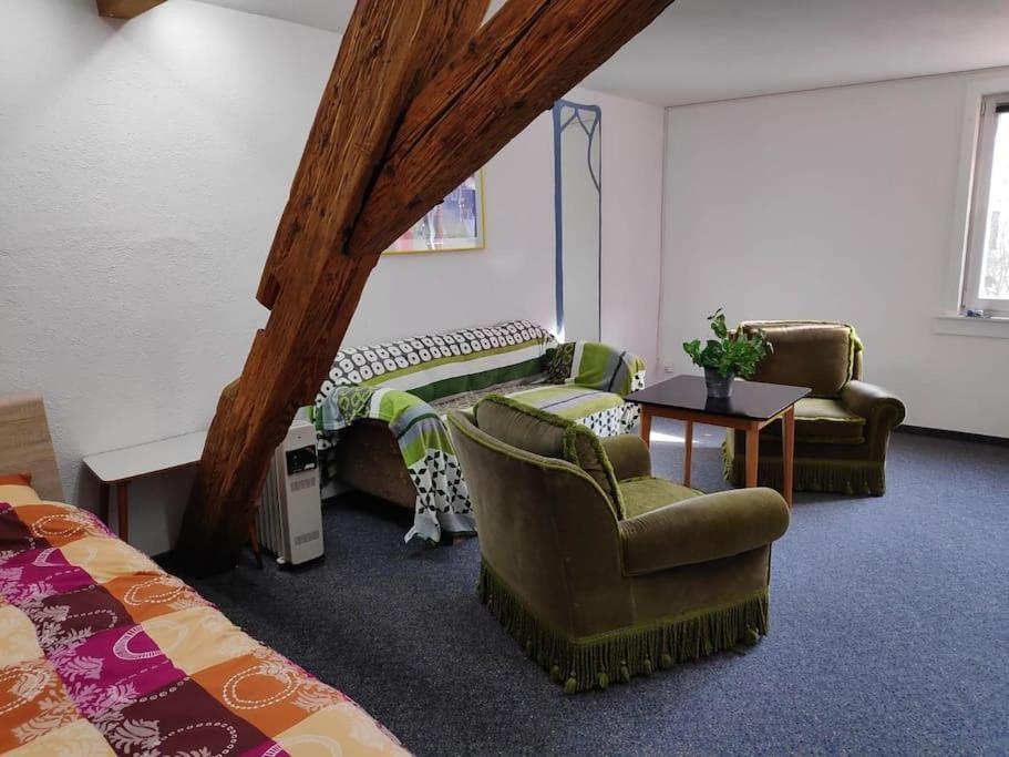 Grosse 130 M2 Gemuetliche Wohnung Im Herzen Tribergs Triberg im Schwarzwald Exterior foto